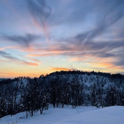 vero54nica's profile picture. 