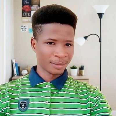 An Electrical and Electronics Engineer. (A Keyboardist )
Easy going and very organized young man.