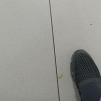 Abdikadir Abikar (@abikar14) 's Twitter Profile