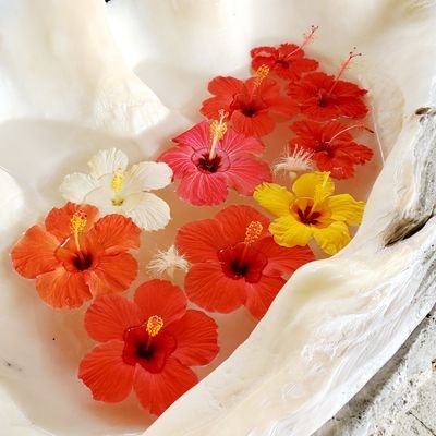 花火大好き‼️
第17期花火鑑賞士(2019年) 合格🎆
カメラ・温泉(源泉掛け流し)・旅行・映画(邦画)・料理(おうち居酒屋)が大好きです😍💮