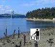 CleanBeachGroup's profile picture. Litter Clean Up volunteer Group, Please join us near Tacoma & University Place Washington Cleaning pollution and making our community a healthier place.
