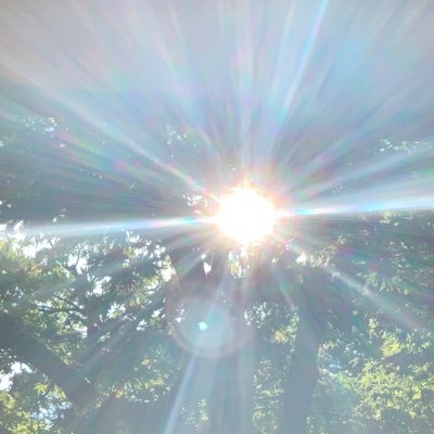 hmm_mkc's profile picture. ナチュラルな暮らし＊山|自然|キャンプ|登山|写真