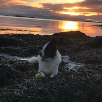 Liz Brosnan (@miseliz) 's Twitter Profile