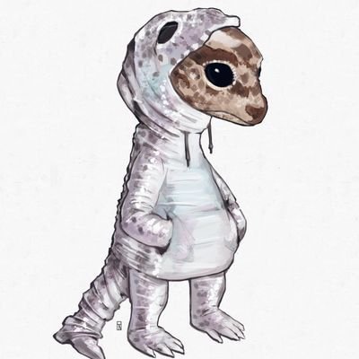 domo_lucas's profile picture. 