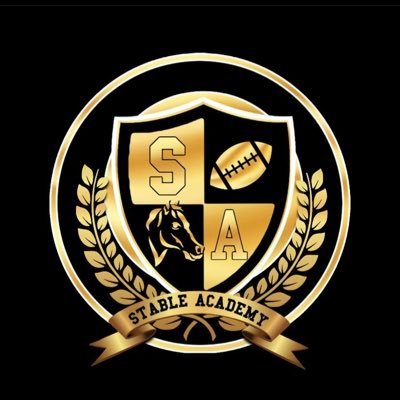 Football training/mentoring/tutoring| Find us on IG @STABLEACADEMY| EST. July 2020| DM for any booking info