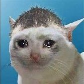 FixTheGame9's profile picture. 