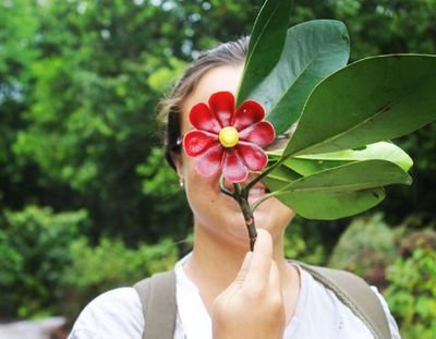 PhD Candidate in Ecology & Conservation / Bat-plant interactions 🦇🌳
Interested in pollination, seed dispersal, ecological networks, and conservation biology.