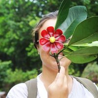 Priscila P. Carlos (@pri_pachec0) 's Twitter Profile