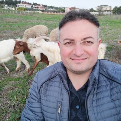 umitdemiryurek's profile picture. Kuyumculuk-İnşaat-Emlak-Tekstil