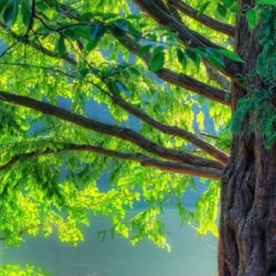 NKMLAqp4yQ7rHyZ's profile picture. 