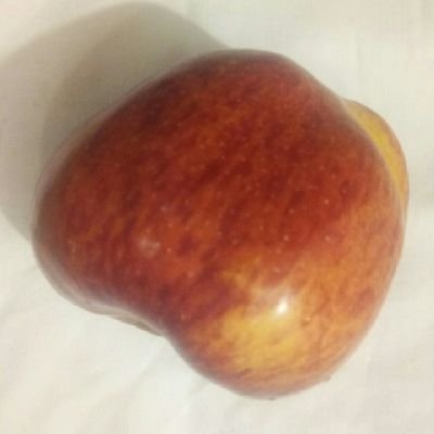 Angela98423428's profile picture. I am brilliant and-