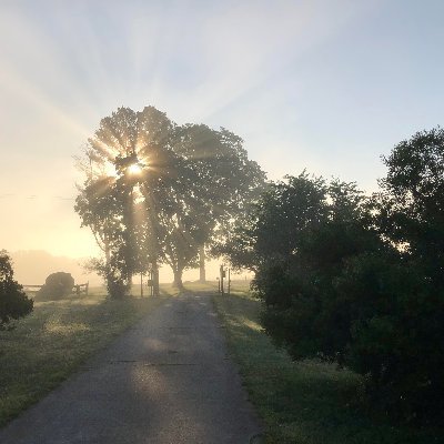 Jason60117684's profile picture. 