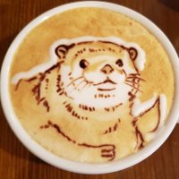 Elfo (@elfogreg) 's Twitter Profile