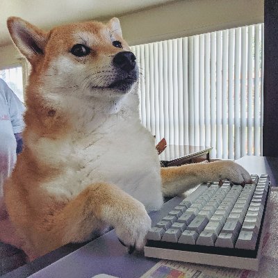 ShadowProgr's profile picture. Definitely not a switch addict