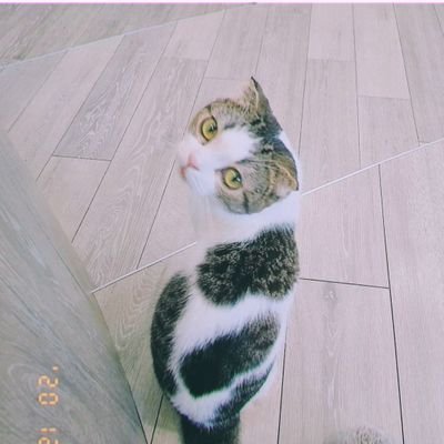 ももさんのプロフィール画像