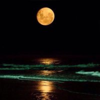 فهد الشهري (@smo_ansan1) 's Twitter Profile