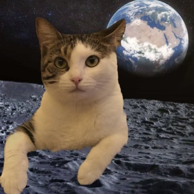 tragedy882's profile picture. 