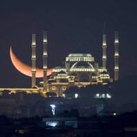 Vizyon Türkiye (@vizyon71) 's Twitter Profile