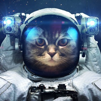 mariajoaoruiz's profile picture. UX/UI Designer concerned with disinformation, conspiracy theories and extremism on social media.