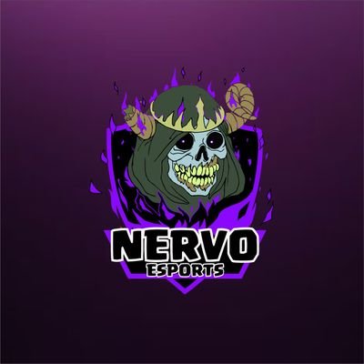 Nervo eSports