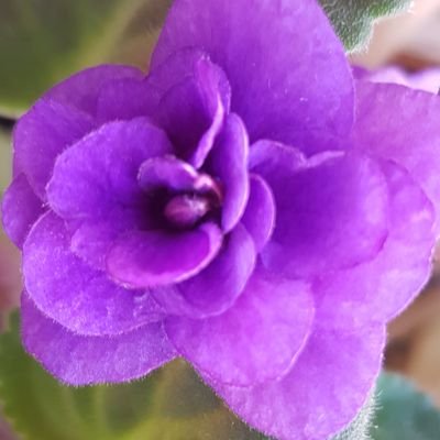 yvonne_t_l's profile picture. 