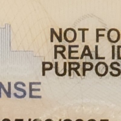 MaryFifer17's profile picture. a work in progress
I'm a fan of the Best!
Lover of Jesus
dark is absent light
cold is absent heat
chaos is absent order
evil is absent good
hell is absent GOD