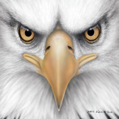 Sky Savage Profile