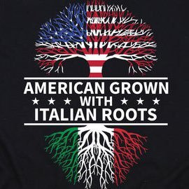 🇮🇹Patriot🇺🇸