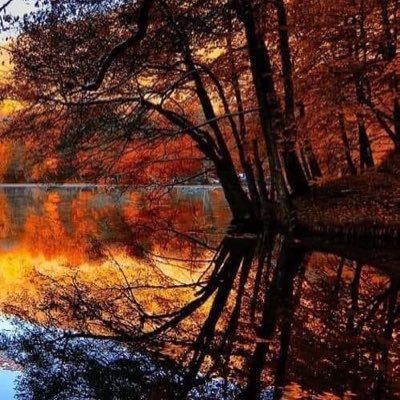 n_cat104's profile picture. lf you  want to be an ORIGINAL Then be ready to be COPIED.