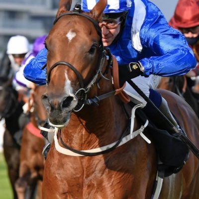 TB owner breeder , Mornington. winners Qaader,Excelia, Bingo bronson ,In the spotlight, Sun’aq,Reckless lad , Ishebayorgrey ,Made to win , Bobsleigh, Airman
