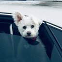 Nancy Lynne - @msnancollins - Twitter