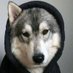 Patrick (@patricksimoss) Twitter profile photo Patrick (@patricksimoss) Twitter profile photo