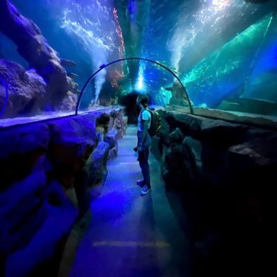 loiscurtis2000's profile picture. 