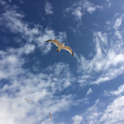 vickyjphillips's profile picture. Trying to make each day better than the last!