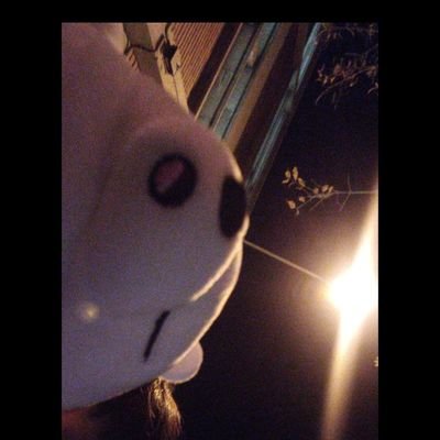 polito023's profile picture. cheems2