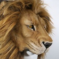EasternWindStudio (@easternwind_stu) 's Twitter Profile
