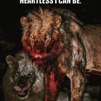 TLSmith (@footballsmith54) 's Twitter Profile