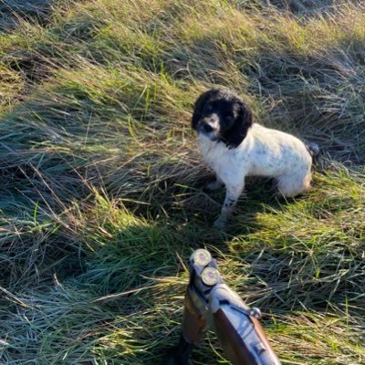 gamekeeper, farming