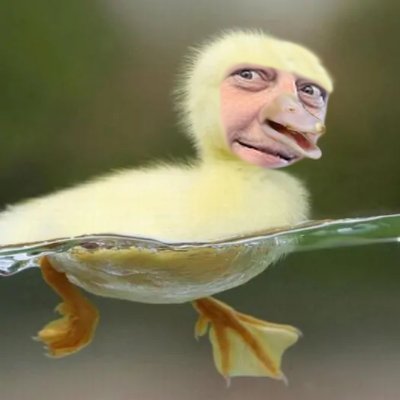 Larry_Biscuit's profile picture. 