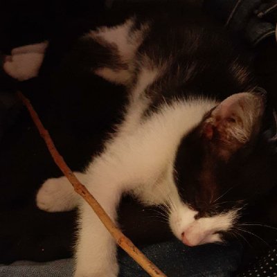 Daniela21773562's profile picture. 