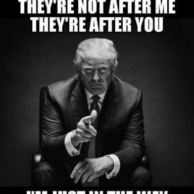 DJPM6's profile picture. I was born.