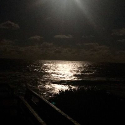 EmilyCline10's profile picture. 