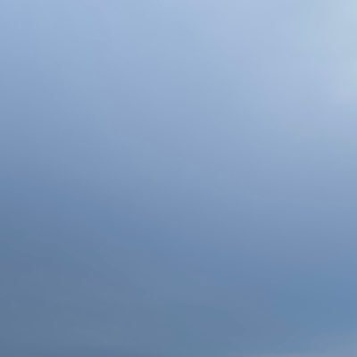 0123445o's profile picture. 