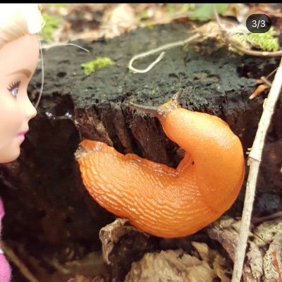 nqpenelope's profile picture. ~~~