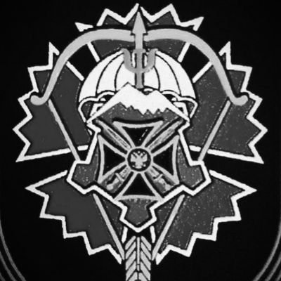 Vyega's profile picture. Voyska Spetzialnogo Naznacheniya   0x4b15a6bdb418688f