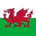 WelshDragon (@dragonofwales) Twitter profile photo WelshDragon (@dragonofwales) Twitter profile photo