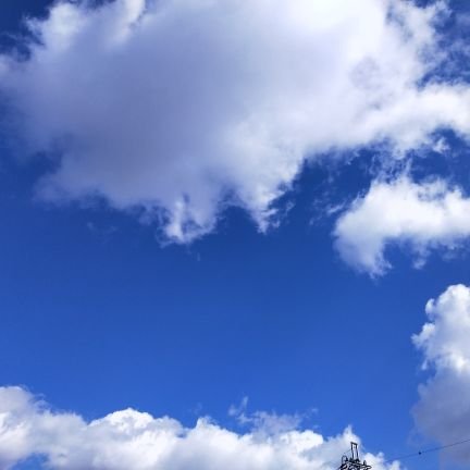 ykn7502's profile picture. 