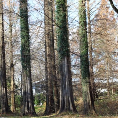 Tomqiang1's profile picture. Biotechs