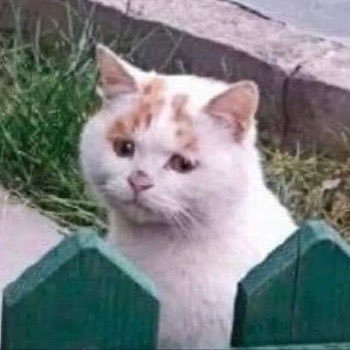 sofrido_'s profile picture. 10