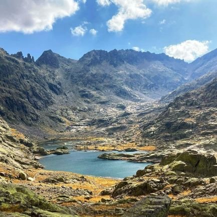 Dani_avf's profile picture. 